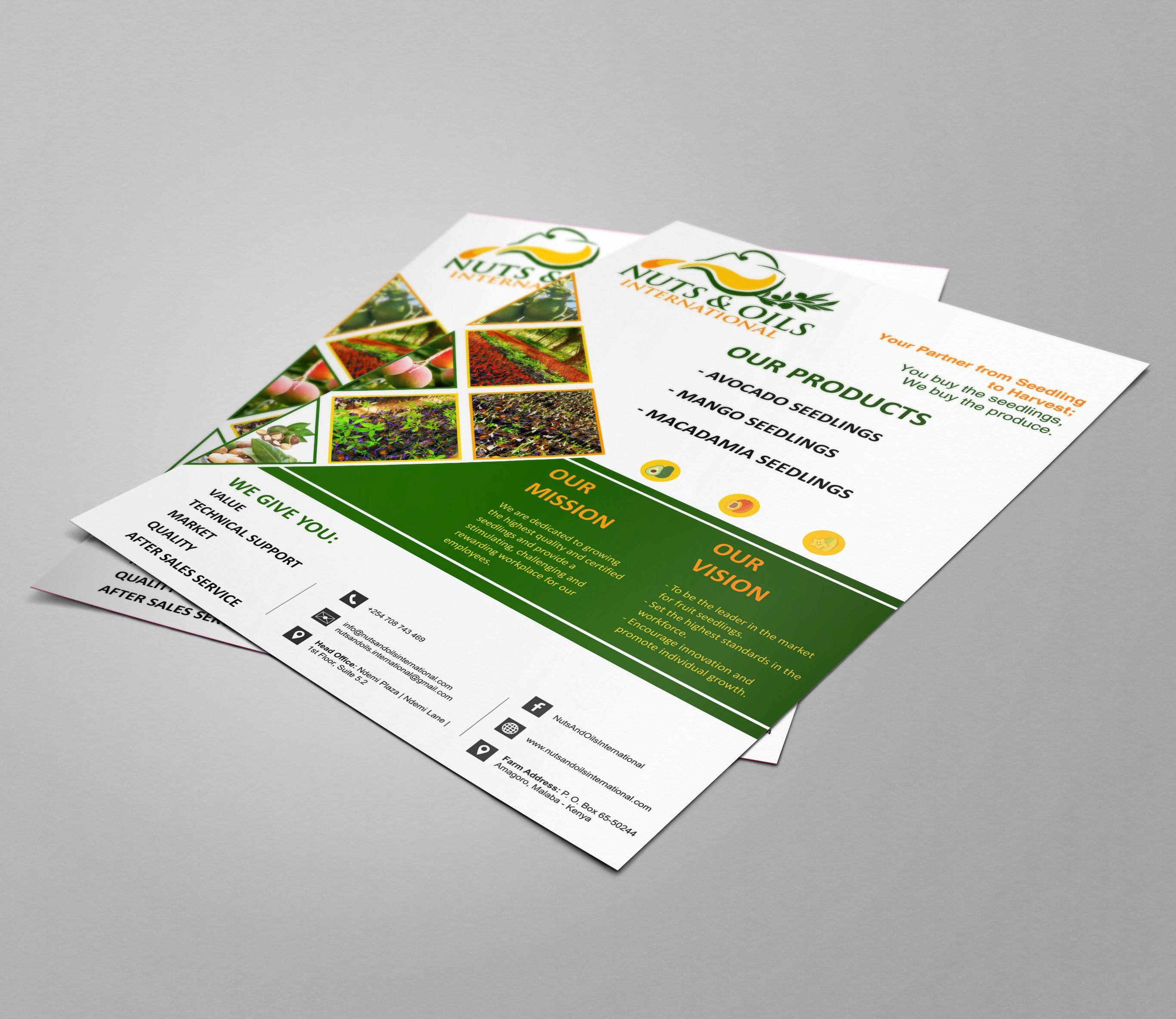 Nuts & Oil Flyer